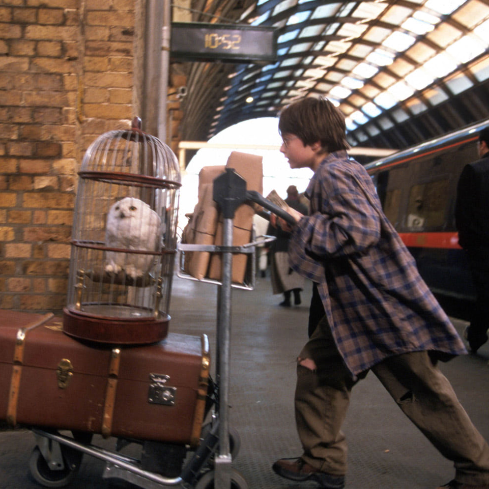 Como é o Primeiro Ano em Hogwarts?