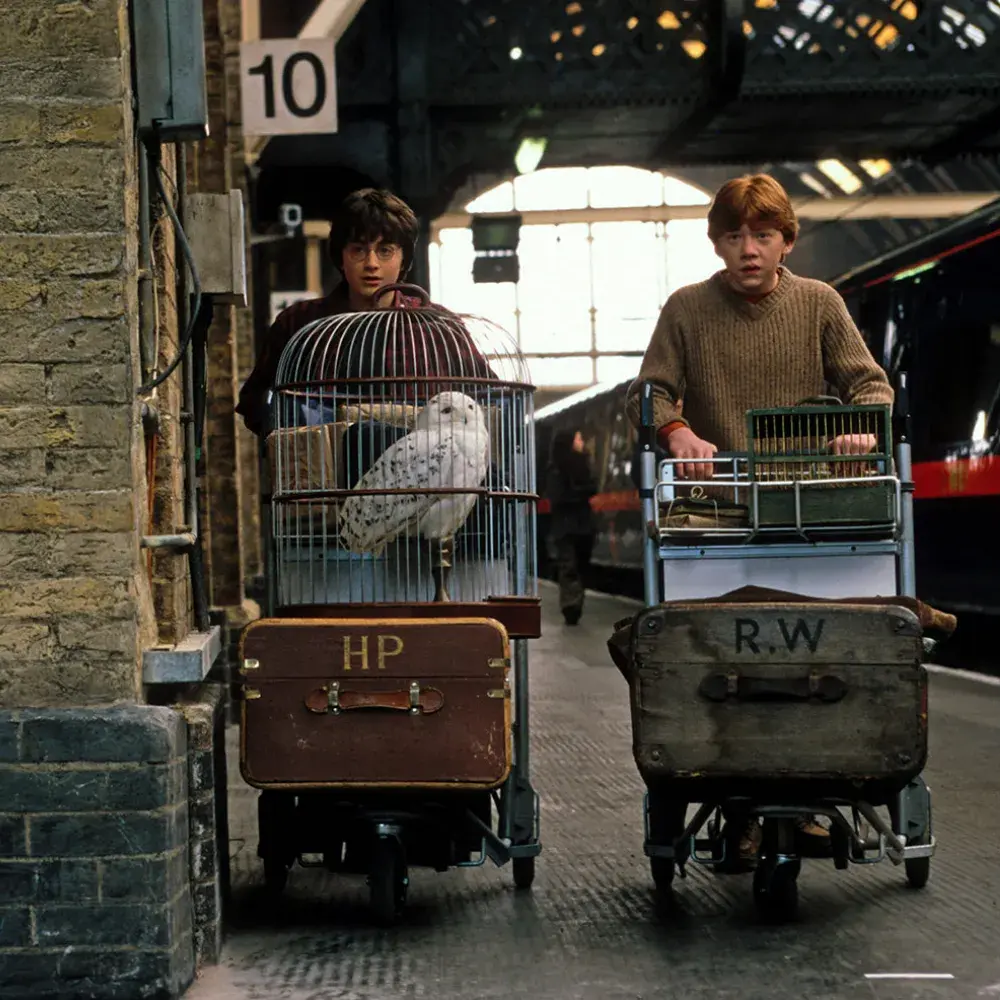 Animais de estimação em Hogwarts